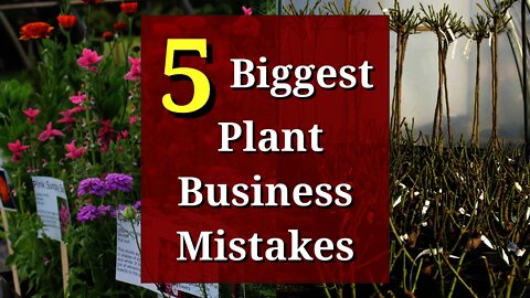 5 Nursery Business Mistakes (and Solutions)