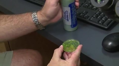 Testing the algae from water in Cape Coral