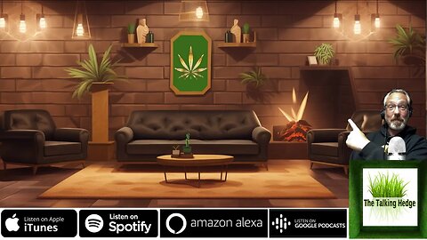 The Lounge Life: A Conversation about Cannabis Cafes and Lounges