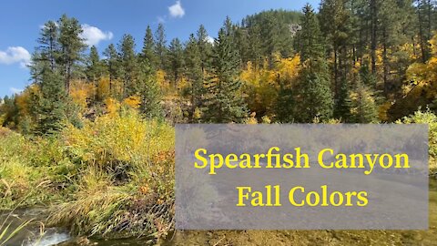 Fall Colors & Waterfalls Visit Spearfish Canyon in South Dakota by NoBSadventures