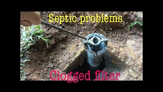 Water coming out of the ground from septic tank. Check this before you call a septic company.