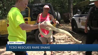 TCSO rescues rare snake