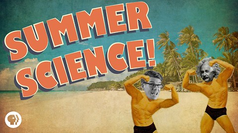 Sunburn, Sweat and the Science of Summer!