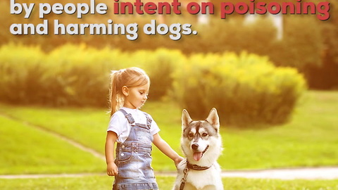 People Are Poisoning Dogs