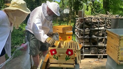 NEW BEE KEEPER WE CREATED 3 COLONIES FROM 1 COLONY SWARMING !
