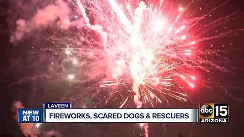 Rescuers preparing to save runaway dogs scared by fireworks