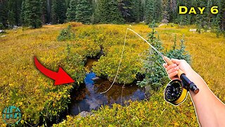 Catching trout out of a PUDDLE?? (Fly Fishing)