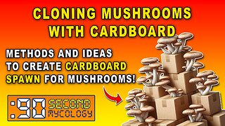 Cloning Mushrooms With Cardboard in 2021 \\ Methods & Ideas