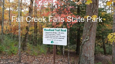 Hiking Fall Creek Falls | The Woodland Trail | Tennessee State Parks