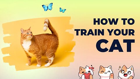 قطط مظحكة جدا - قط يعجن ويتدرب من الكومبيوتر- هل يمكن للقطط ان تتعلم العجن؟