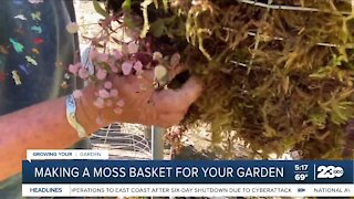 Growing Your Garden: Making a moss basket