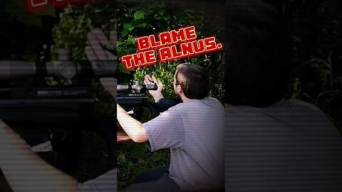 Blame the Alnus. (Tales of a double feeder) #airgun #pelletguns #fail