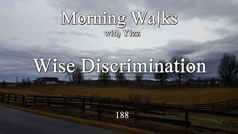 Morning Walks with Yizz 188 - Wise Discrimination (Not a T777 Impersonation)