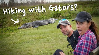 Alligator Adventures: 🐊 Exploring Paynes Prairie Preserve State Park | Florida