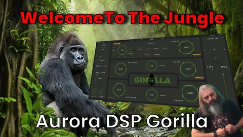 Aurora DSP Gorilla Welcome To The Jungle
