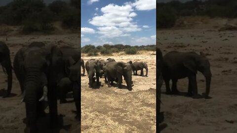 Tarangire National Park