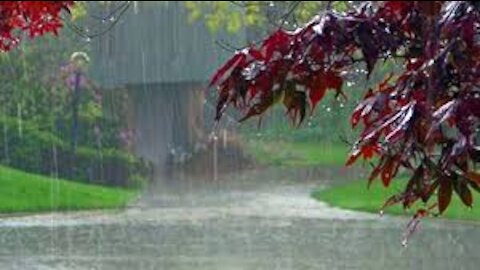 Romantic Rain Sound |Nature Rain sound | free Stock Footage |Vidventures