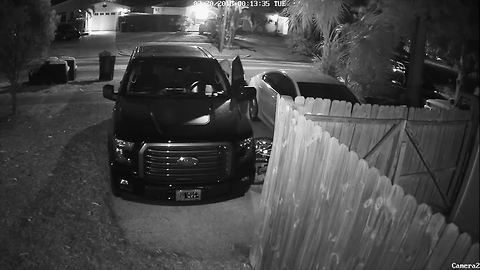 Home surveillance camera catches thief stealing gun from truck