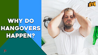 Why Do Hangovers Happen?