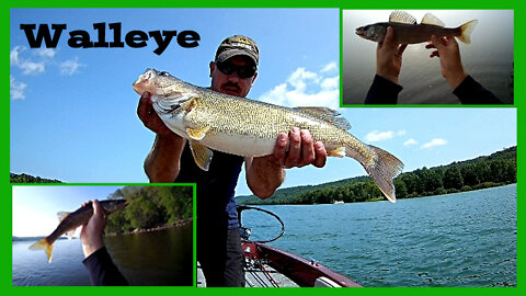 Walleye Fishing