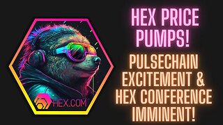 Hex Price Pumps! Pulsechain Excitement & Hex Conference Imminent!