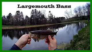 Pond Fishing for Largemouth Bass