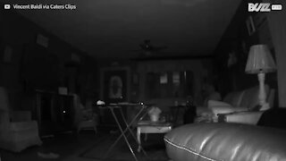 Une caméra de surveillance filme une étrange lumière dans son salon