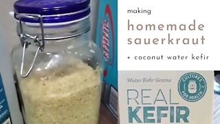Adventures with Making Homemade Paleo AIP Sauerkraut & Coconut Water Kefir