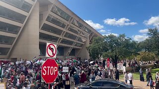 Pro-Palestine protest in Dallas, Texas. 😳😳 TEXAS!