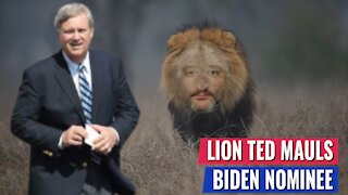 LION TED MAULS BIDEN NOMINEE, THROWS THEM INTO THE ELEPHANT GRAVEYARD