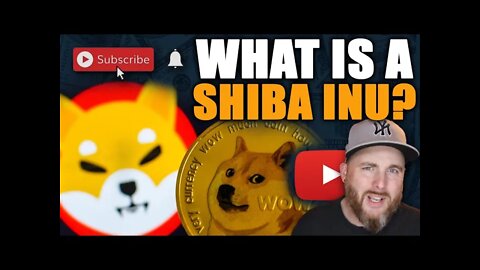 What is SHIBA INU token | Diamond Hands vs Paper Hands