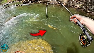 Fly Fishing for BIG Brown trout and BREAKING an Expensive Rod!