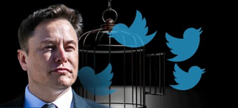 OFFICIAL - Ellon Musk BUYS Twitter!