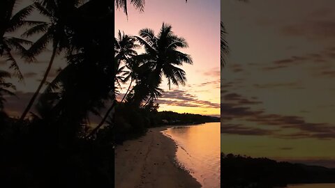 #beach #palmtrees #tropical #sunset #sunrise - Spring Fall3