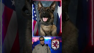 K9 Lenin Baytown Police Department, Texas End of Watch Thursday, March 9, 2023