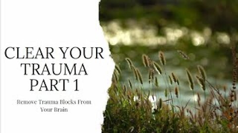 Part 1 - Clearing Trauma Blocks from your Brain.