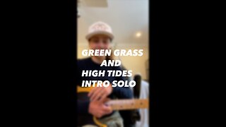 Green Grass and High Tides Intro Guitar Solo The Outlaws-Kristen Capolino