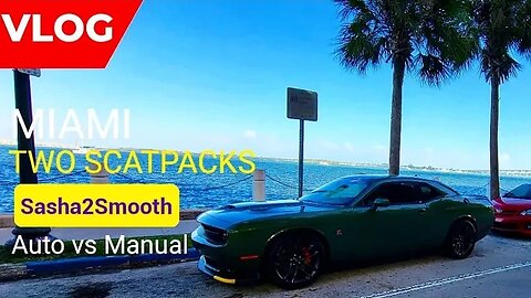 Miami, 2 ScatPacks Manual vs Automatic, Meeting Sasha 2 Smooth