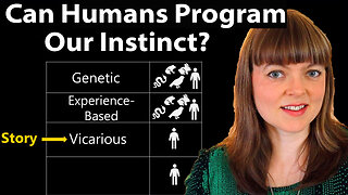 4 Stages of Instinct Evolution | Story is Vicariously Programmed Instinct