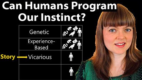 4 Stages of Instinct Evolution | Story is Vicariously Programmed Instinct