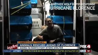 Animals being evacuated from South Carolina to North Fort Myers shelter