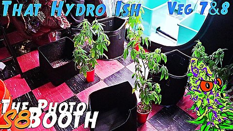 The Photo Booth S8 Ep. 5 | Veg Weeks 7 & 8 | Back On That Hydro Ish