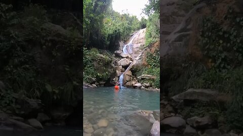 White River Falls Milkbank Portland #shortsfeed #shortsvideo #nature #jamaica #portland