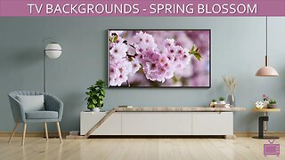 TV Background Spring Blossom Screensaver TV Art Slideshow / No Sound