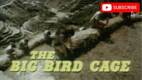 THE BIG BIRD CAGE (1972) Trailer [#thebigbirdcage #thebigbirdcagetrailer]