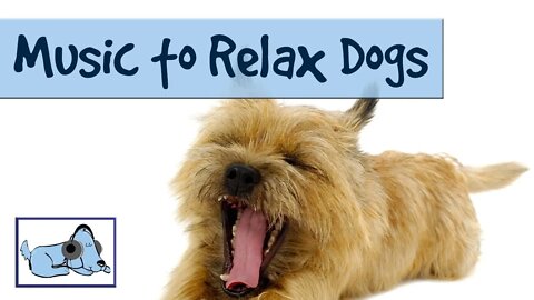 MUSIC FOR RELAXING DOGS- 🐶 Anxiety Relieving , Helps with FIREWORKS! Try It on your dog and watch!