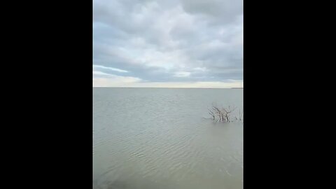 California's long lost Tulare Lake...