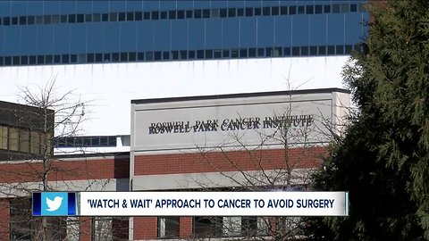 Research shows 'Watch and Wait' approach to cancer treatment could help patients avoid surgery