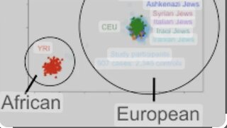 Genetics and Judaism. ( Debate Clarification)