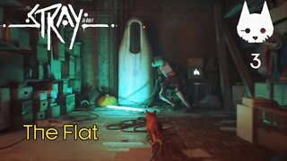 Stray: Part 3 - The Flat (no commentary) PS4